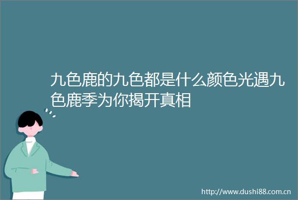 九色鹿的九色都是什么颜色光遇九色鹿季为你揭开真相