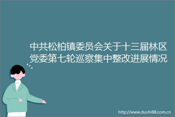 松柏镇委员会关于十三届林区党委第七轮巡察集中整改进展情况的通报