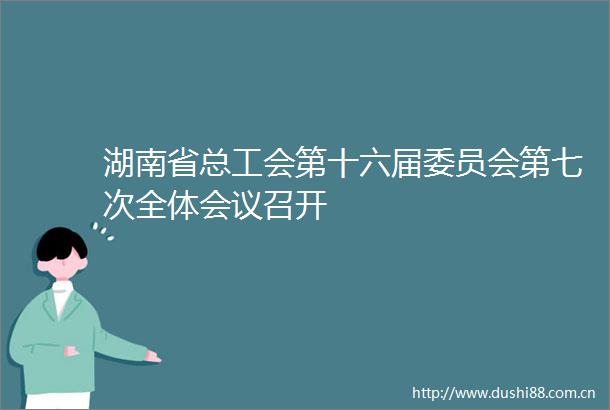 湖南省总工会第十六届委员会第七次全体会议召开
