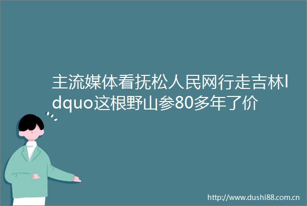 主流媒体看抚松网行走吉林ldquo这根野山参80多年了价格30万helliphelliprdquo
