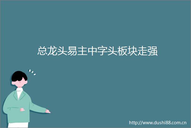 总龙头易主中字头板块走强
