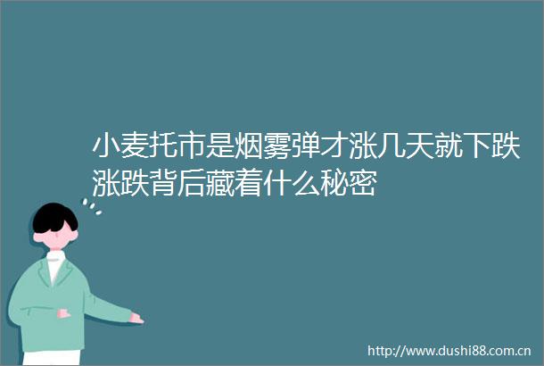 小麦托市是烟雾弹才涨几天就下跌涨跌背后藏着什么秘密