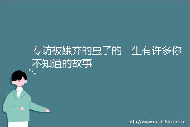 专访被嫌弃的虫子的一生有许多你不知道的故事