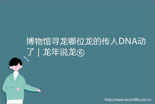博物馆寻龙哪位龙的传人DNA动了｜龙年说龙⑥
