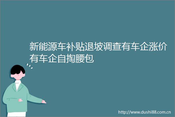 新能源车补贴退坡调查有车企涨价有车企自掏腰包