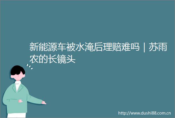 新能源车被水淹后理赔难吗｜苏雨农的长镜头