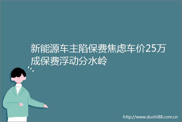 新能源车主陷保费焦虑车价25万成保费浮动分水岭
