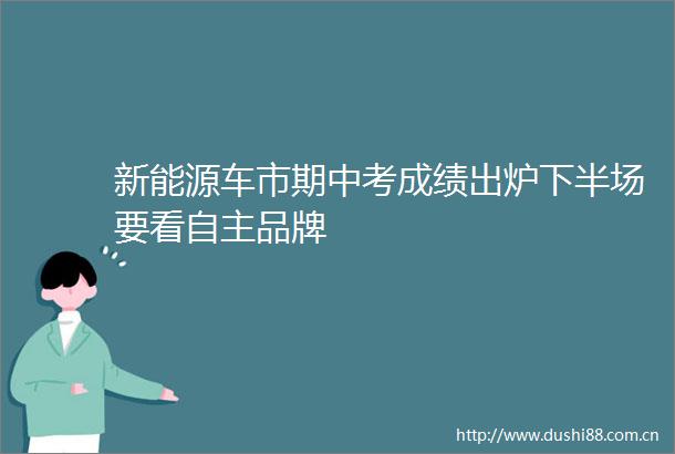 新能源车市期中考成绩出炉下半场要看自主品牌