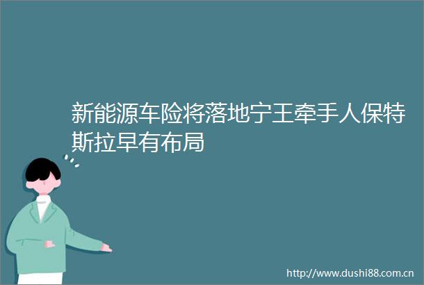新能源车险将落地宁王牵手人保特斯拉早有布局