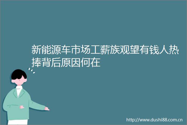 新能源车市场工薪族观望有钱人热捧背后原因何在