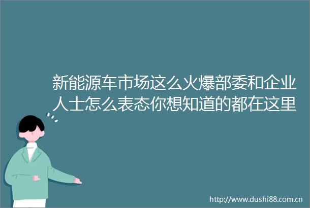 新能源车市场这么火爆部委和企业人士怎么表态你想知道的都在这里