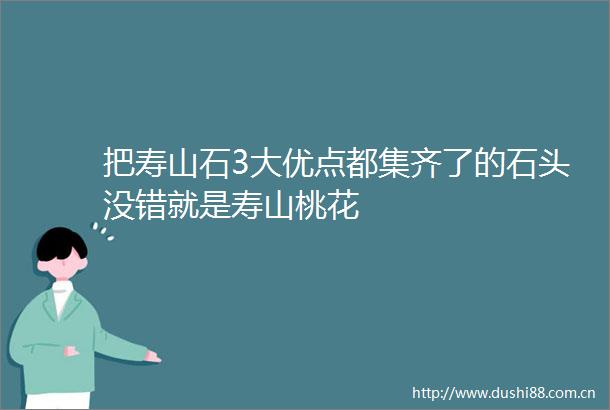 把寿山石3大优点都集齐了的石头没错就是寿山桃花
