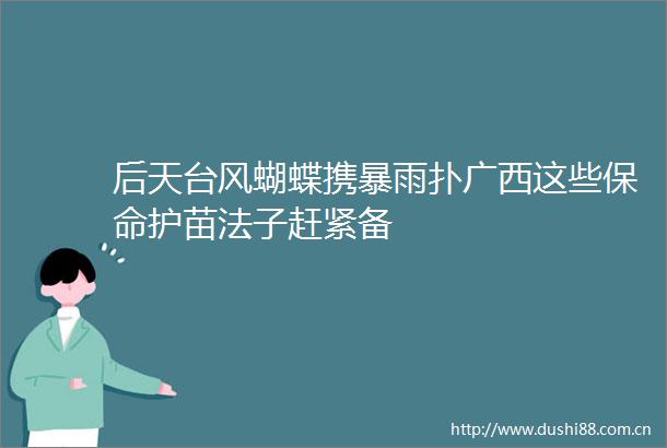 后天台风蝴蝶携暴雨扑广西这些保命护苗法子赶紧备