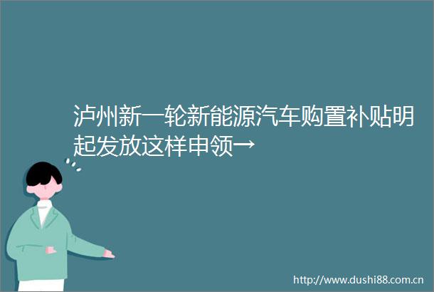 泸州新一轮新能源汽车购置补贴明起发放这样申领→