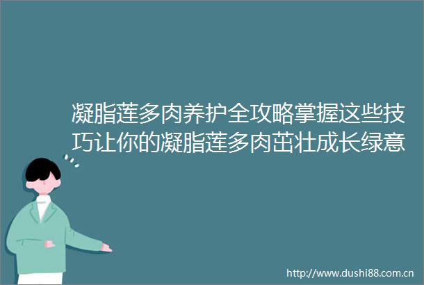 凝脂莲多肉养护全攻略掌握这些技巧让你的凝脂莲多肉茁壮成长绿意盎然生活更美好