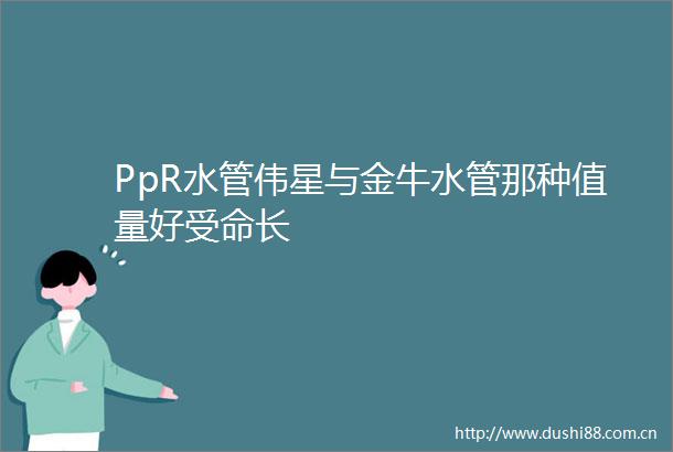 PpR水管伟星与金牛水管那种值量好受命长