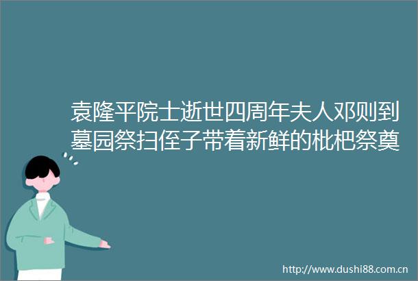 袁隆平院士逝世四周年夫人邓则到墓园祭扫侄子带着新鲜的枇杷祭奠