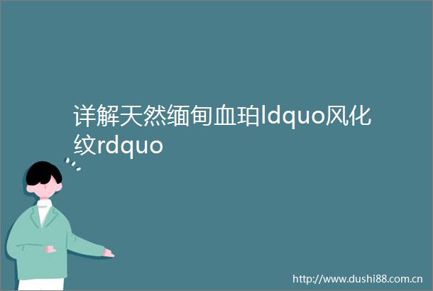 详解天然缅甸血珀ldquo风化纹rdquo