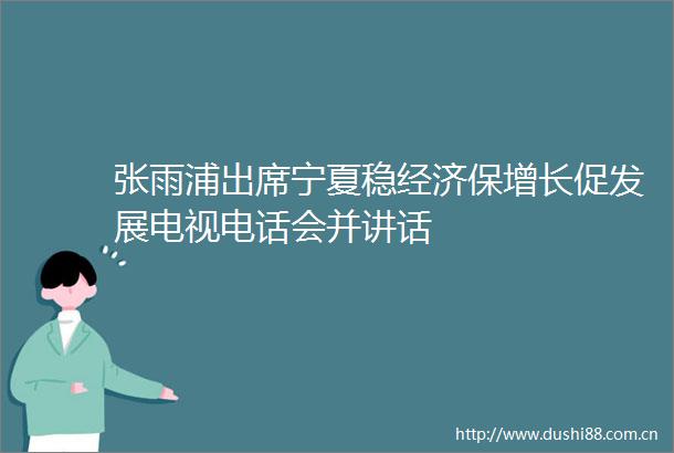 张雨浦出席宁夏稳经济保增长促发展电视电话会并讲话