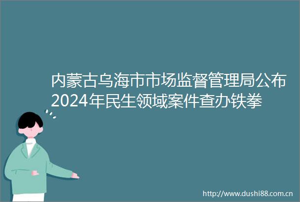 内蒙古乌海市市场监督管理局公布2024年民生领域案件查办铁拳行动典型案例（第二批）