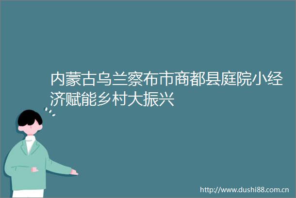 内蒙古乌兰察布市商都县庭院小经济赋能乡村大振兴