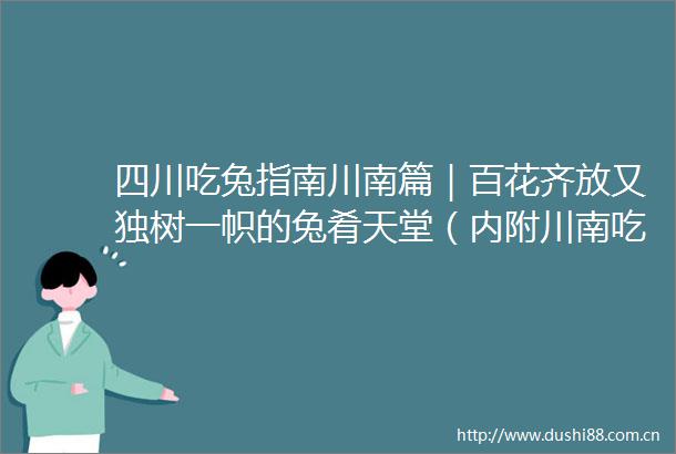 四川吃兔指南川南篇｜百花齐放又独树一帜的兔肴天堂（内附川南吃兔地图）