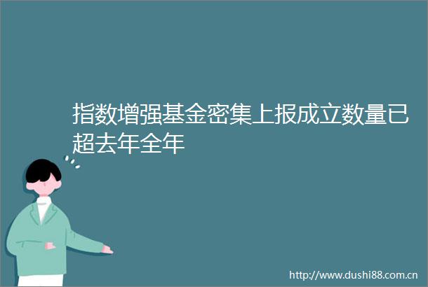 指数增强基金密集上报成立数量已超去年全年