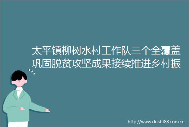太平镇柳树水村工作队三个全覆盖巩固脱贫攻坚成果接续推进乡村振兴