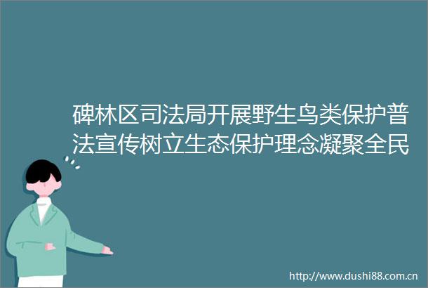 碑林区司法局开展野生鸟类保护普法宣传树立生态保护理念凝聚全民护绿共识