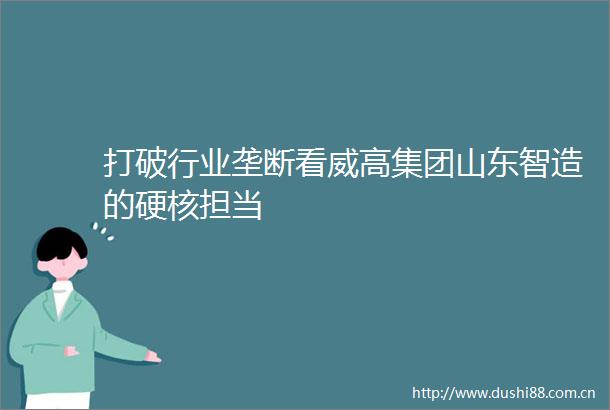 打破行业垄断看威高集团山东智造的硬核担当