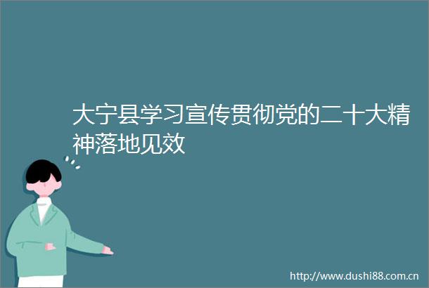 大宁县学习宣传贯彻党的二十大精神落地见效