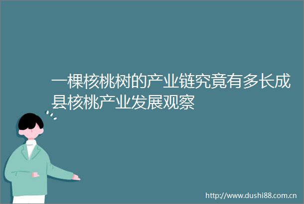 一棵核桃树的产业链究竟有多长成县核桃产业发展观察