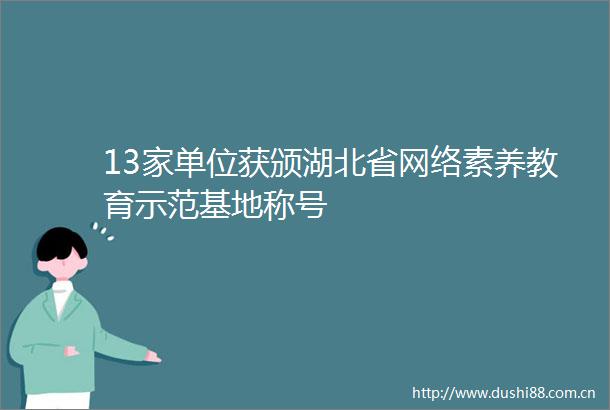 13家单位获颁湖北省网络素养教育示范基地称号