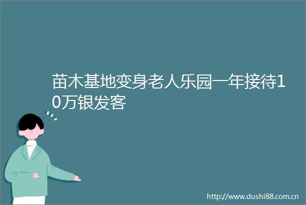 苗木基地变身老人乐园一年接待10万银发客