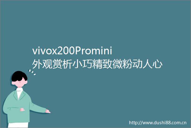 vivox200Promini外观赏析小巧精致微粉动人心