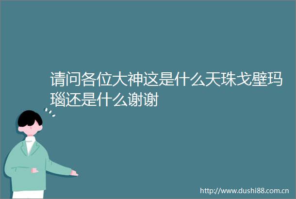 请问各位大神这是什么天珠戈壁玛瑙还是什么谢谢