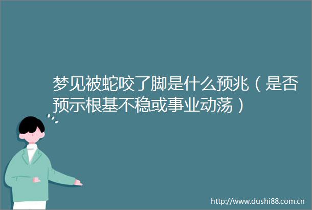 梦见被蛇咬了脚是什么预兆（是否预示根基不稳或事业动荡）