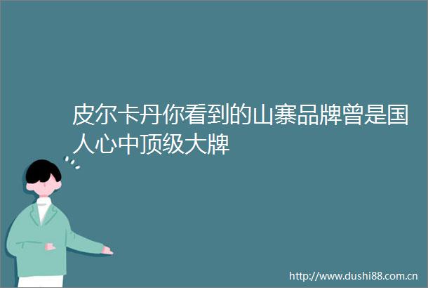 皮尔卡丹你看到的山寨品牌曾是国人心中顶级大牌