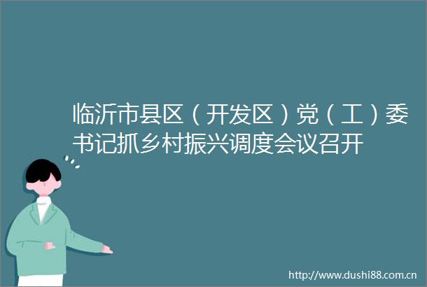 临沂市县区（开发区）党（工）委书记抓乡村振兴调度会议召开