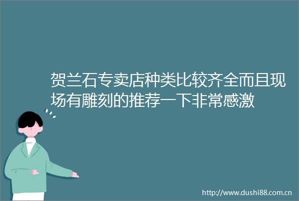 贺兰石专卖店种类比较齐全而且现场有雕刻的推荐一下非常感激