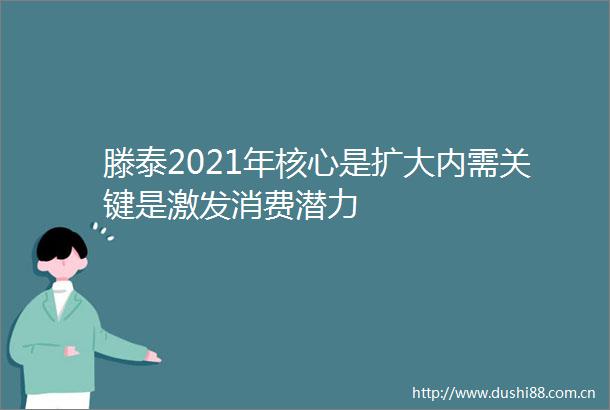 滕泰2021年核心是扩大内需关键是激发消费潜力