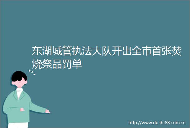 东湖大队开出全市首张焚烧祭品罚单