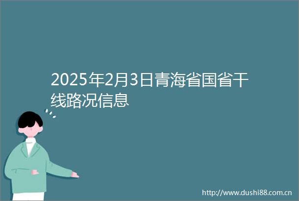 2025年2月3日青海省国省干线路况信息