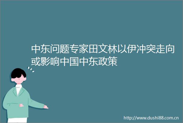 中东问题专家田文林以伊冲突走向或影响中东政策