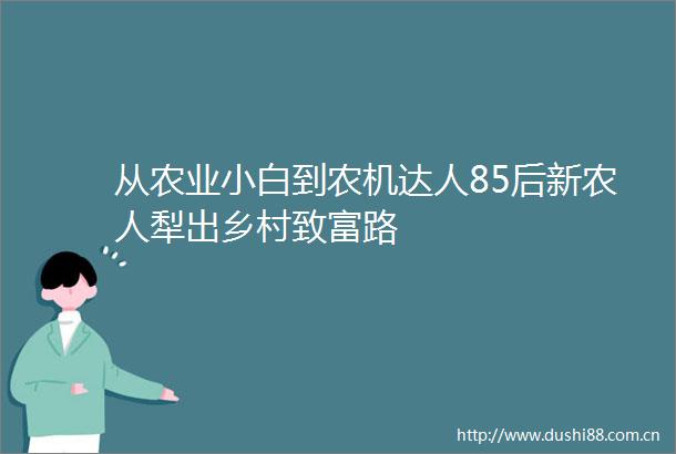 从农业小白到农机达人85后新农人犁出乡村致富路
