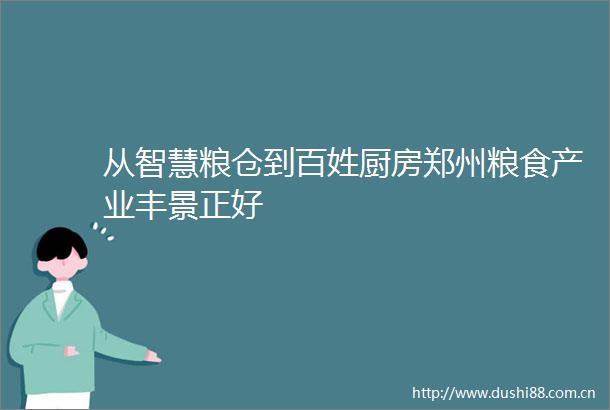 从智慧粮仓到百姓厨房郑州粮食产业丰景正好