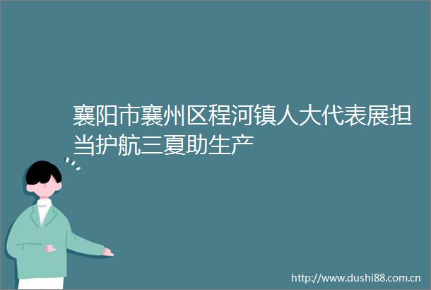 襄阳市襄州区程河镇人大代表展担当护航三夏助生产