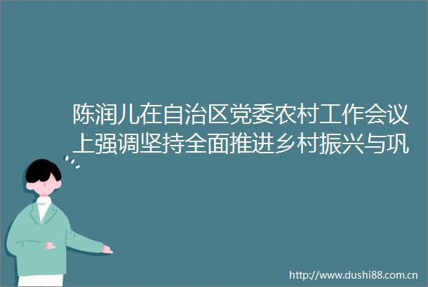 陈润儿在自治区党委农村工作会议上强调坚持全面推进乡村振兴与巩固脱贫成果有效衔接促进农业高质高效乡村宜居宜业农民富裕富足