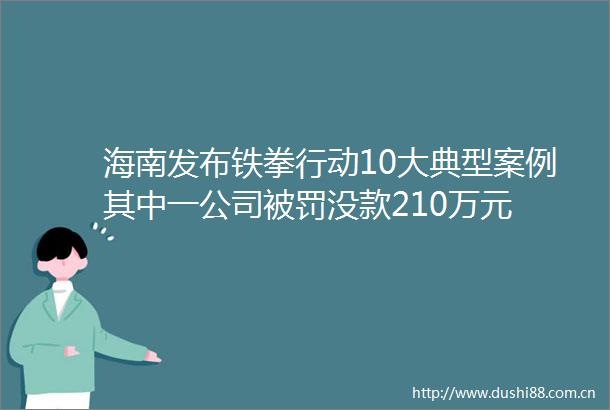 海南发布铁拳行动10大典型案例其中一公司没款210万元