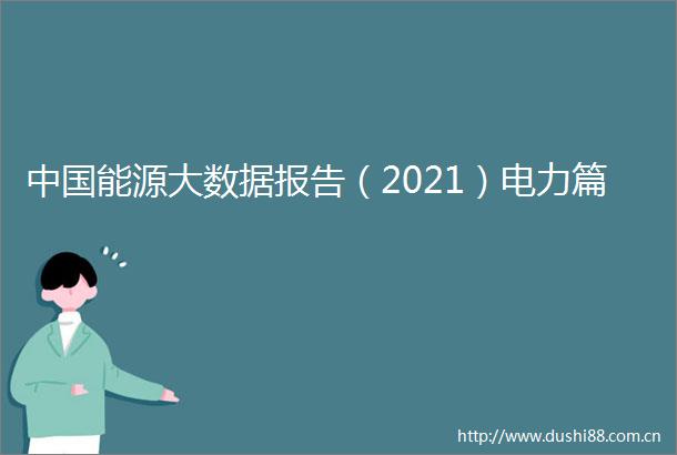 能源大数据报告（2021）电力篇